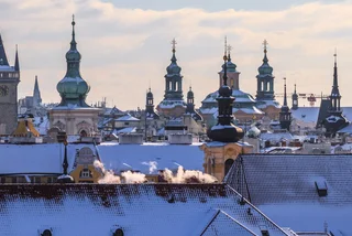 Shutterstock by Leo Kohout