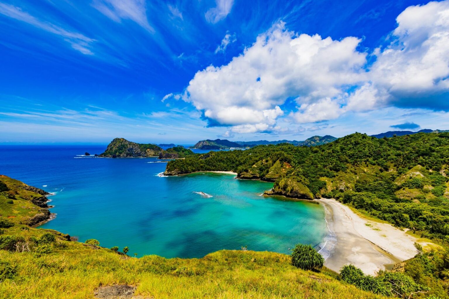 Cat Relocation Triggers Stunning Ecosystem Comeback In Japan – One Green Planet Cat Relocation Triggers Stunning Ecosystem Comeback In Japan – One Green Planet