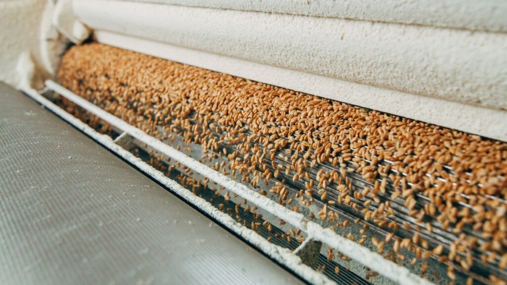 Portugal’s Cerealis, Better Foods to merge milling operations