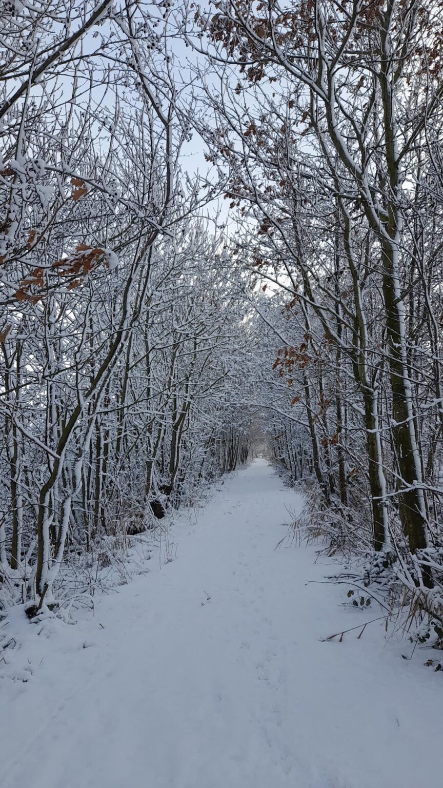 Hike through the Dutch countryside