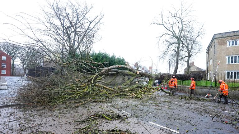 A fallen tree blocks Hall Lane in Houghton-le-Spring in Durham. Pic: PA