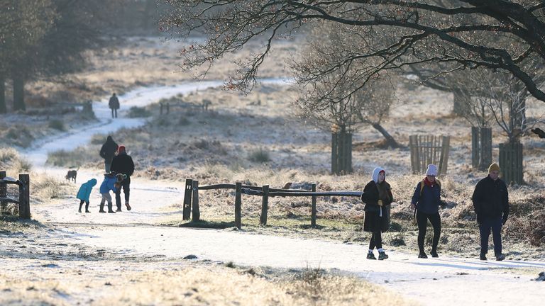 Richmond Park, London. Pic: PA