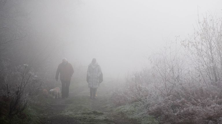 People walk in fog in West Hay Nature Reserve, Somerset. Pic: PA