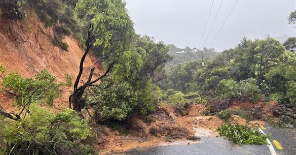 What’s driving this tropical low to dampen our summer?