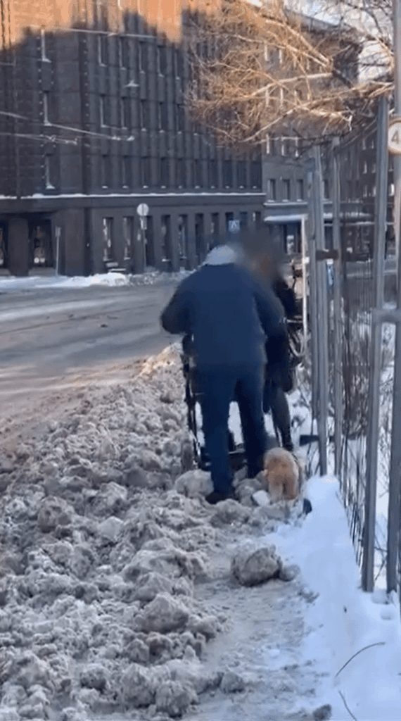 /r/Estonia does not allow videos, but such a video caught my eye on FB. The level of snow removal in Tallinn. Every year - is there any change at all, Tallinners? Not from there myself. Please justify in the comment section that drivers are *actually* being bullied here.