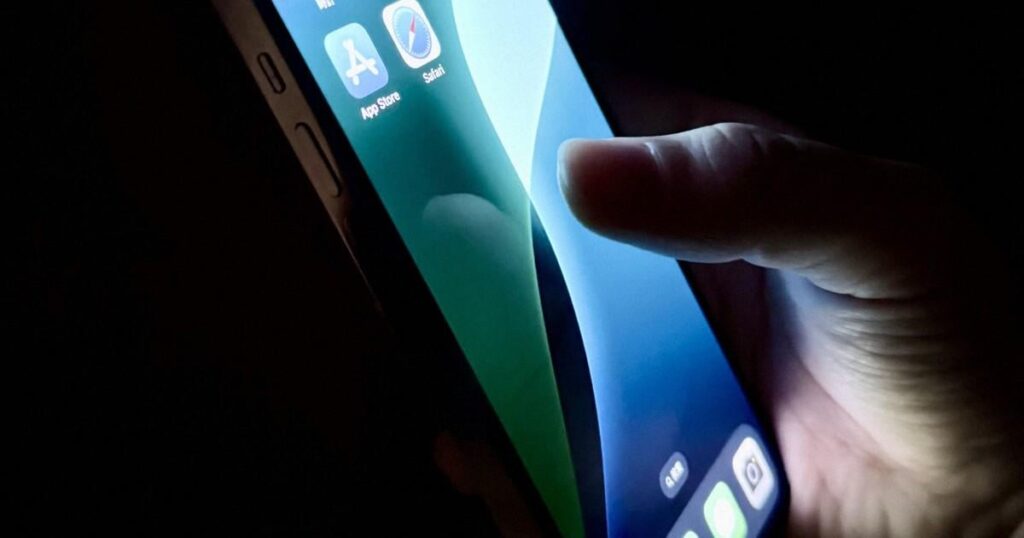 Japan gov't urges social media firms to swiftly remove false election info