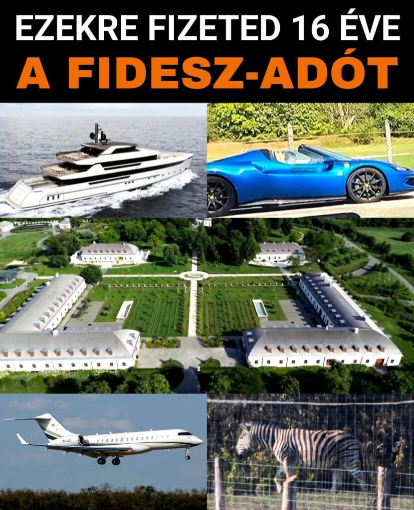 The mafia lies about the Tisza tax, while since 2010 they treat the tax paid as their own pocket money in an increasingly blatant way