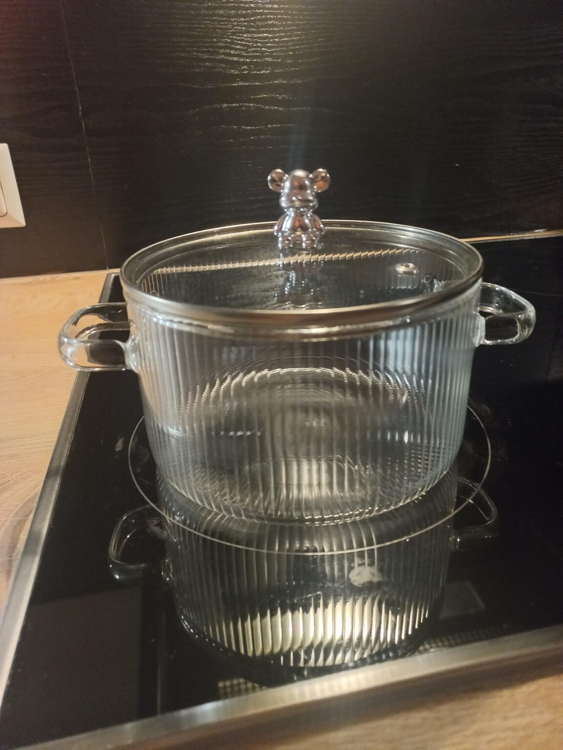 Do any of you have a bear glass cooking pot?