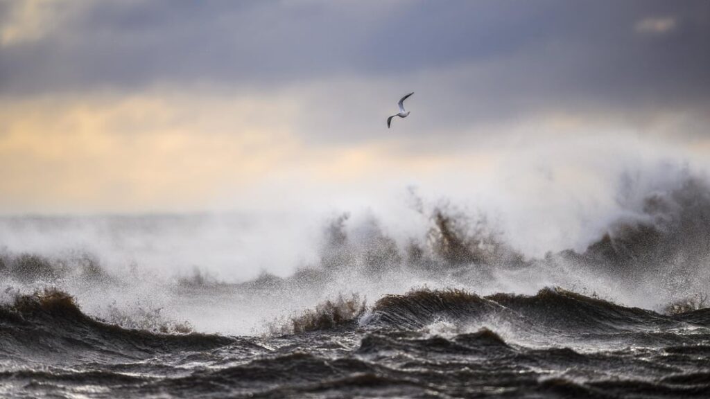 Some of my favorite pictures I photographed in Småland + Öland during 2025 Some of my favorite pictures I photographed in Småland + Öland during 2025