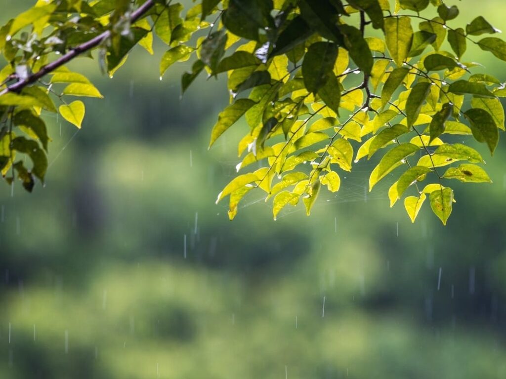 Lawmaker Introduces Land Disturbance Legislation Curbing 'Unfettered Development,' Protecting Environment