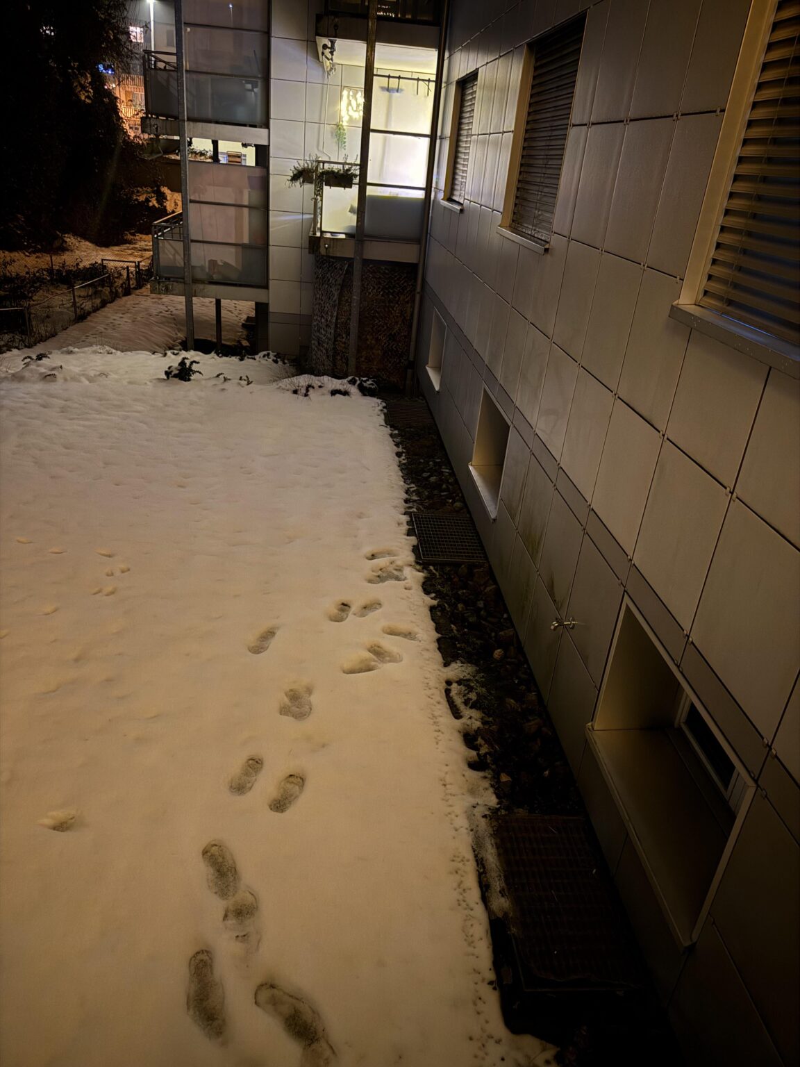 Stranger walking around at 3am Stranger walking around at 3am