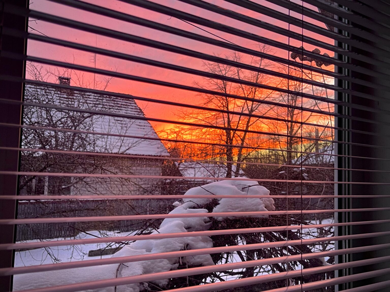 Today’s sunset made me feel things.