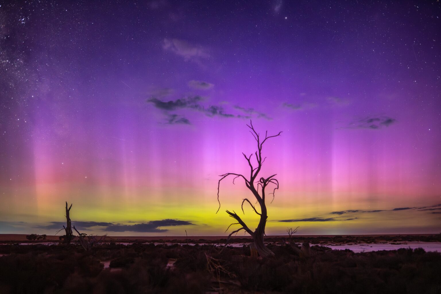 Last March of the Ents, Lake Tyrrell, VIC, AUS. [6000x4000] [OC]