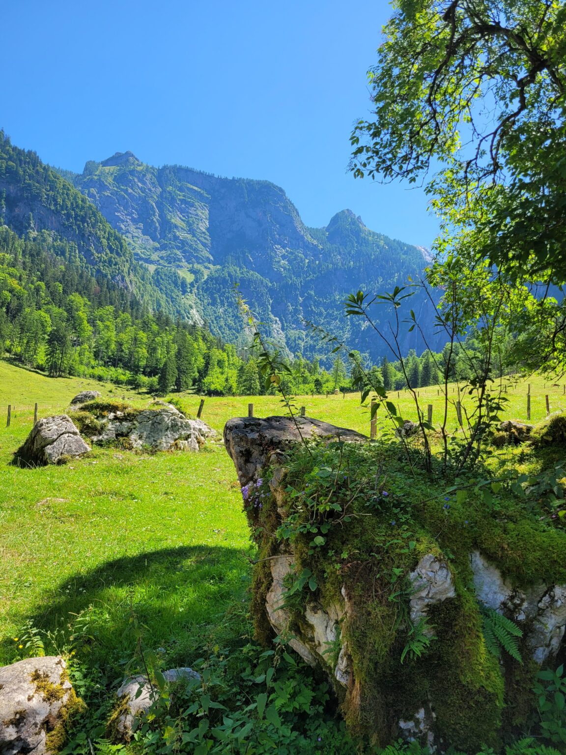Berchtesgaden National Park in Bavaria, Germany [OC]