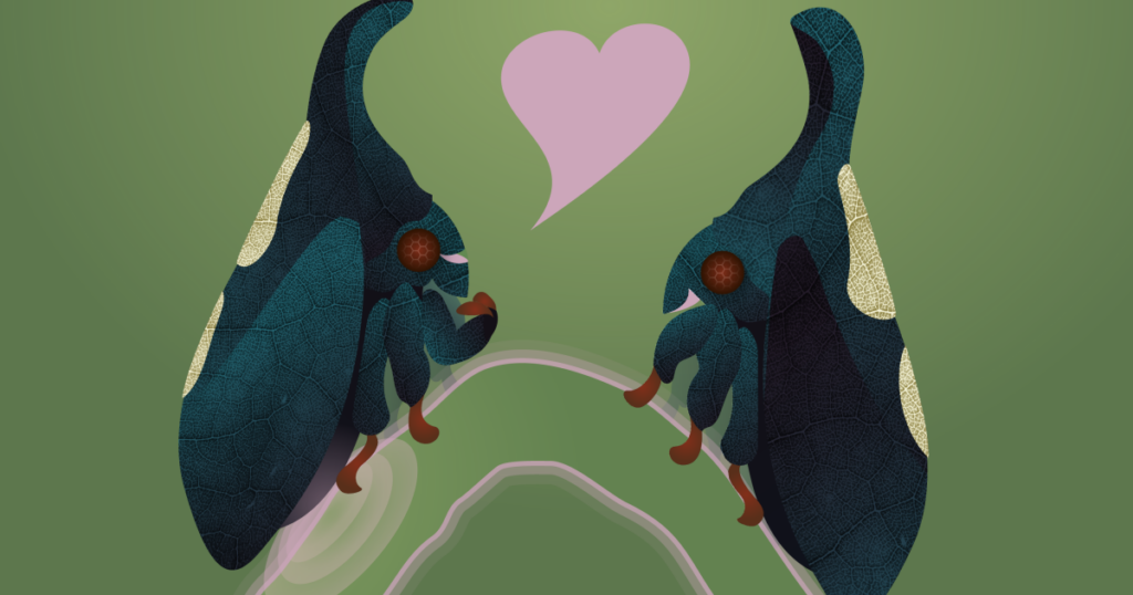 St. Louis University study finds heat is boosting treehopper fertility St. Louis University study finds heat is boosting treehopper fertility