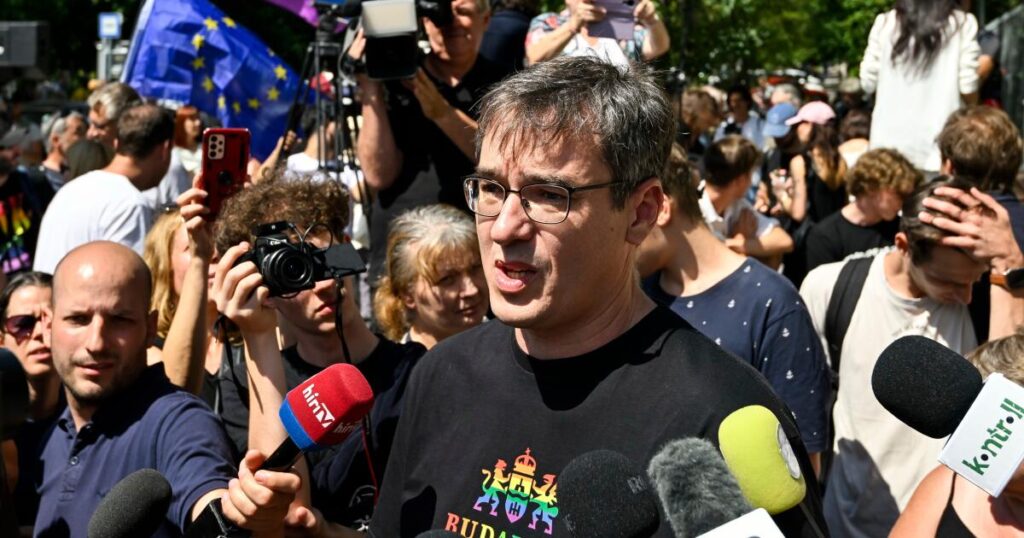 Budapest's liberal mayor charged for organizing banned Pride event