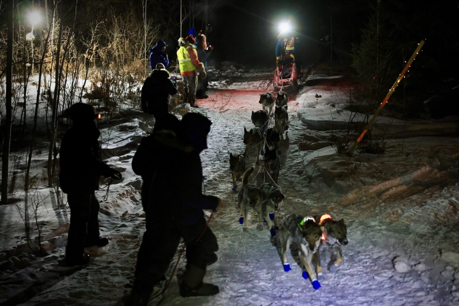 Live: McClelland arrives first at Beargrease's Finland checkpoint - Duluth News Tribune