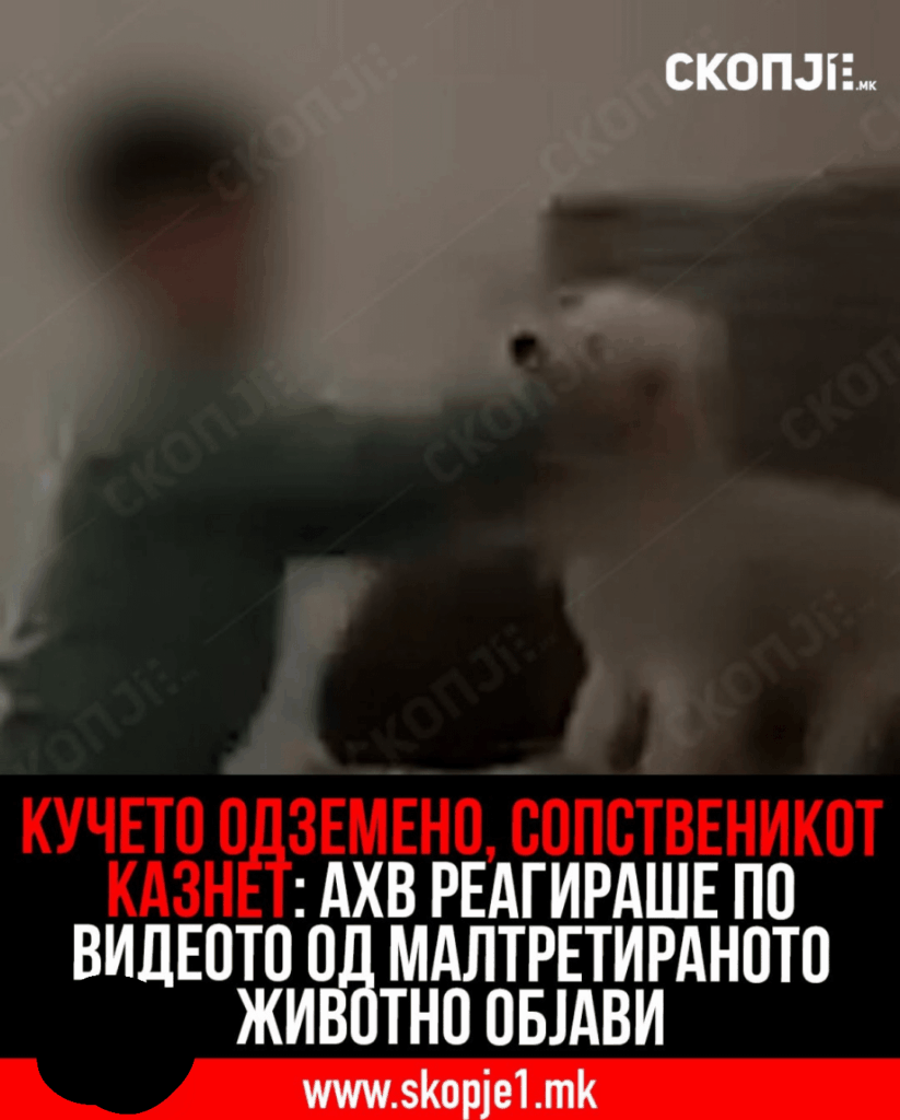 There is hope at the end of the day, the dog is saved!