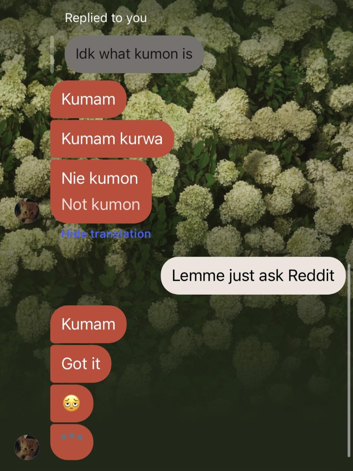 What is my friend tryna convey?