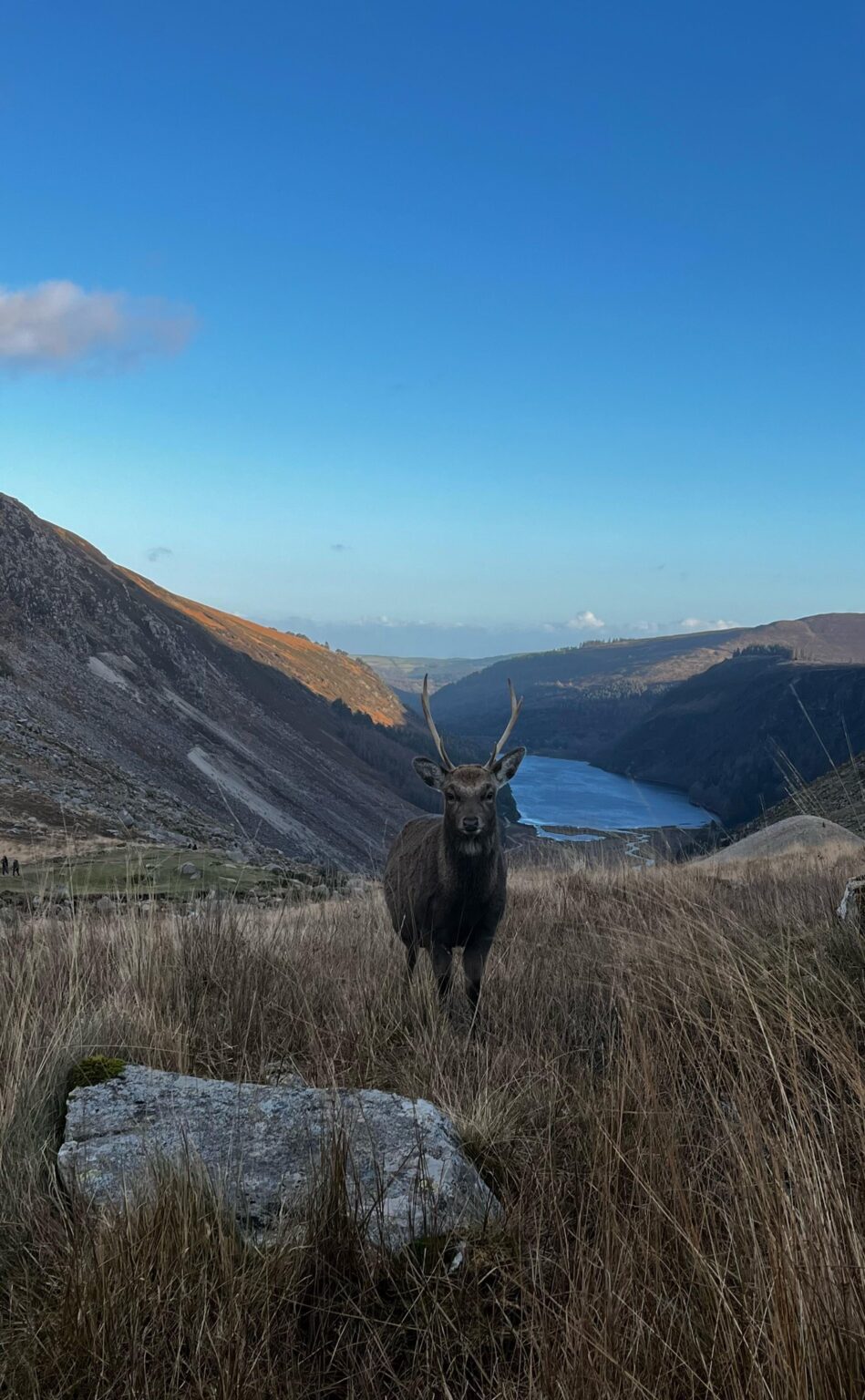 Glendalough is a beautiful place