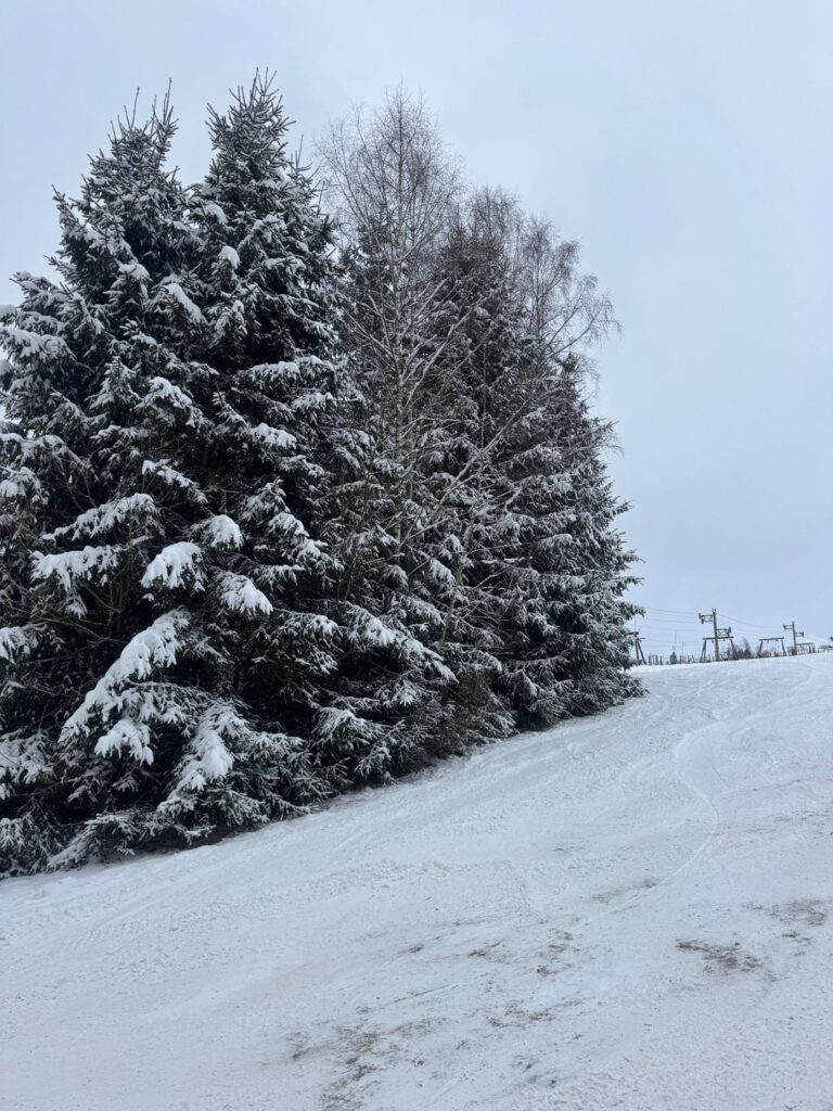 Belgium never fails to amaze me