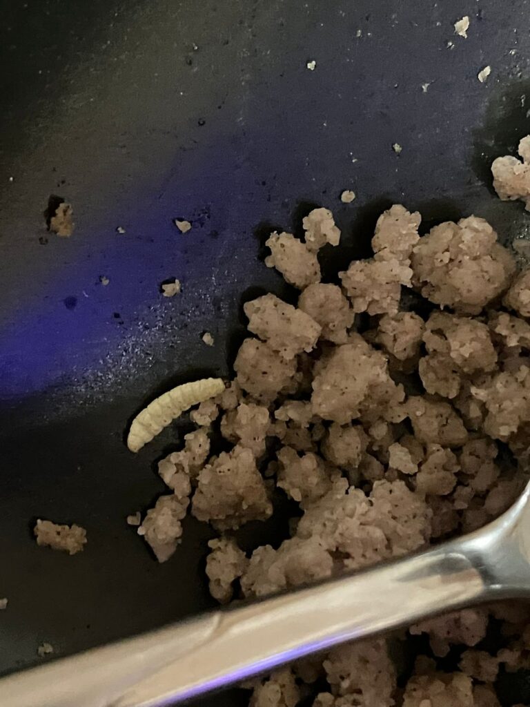 Insects in buckwheat flour from Mercator