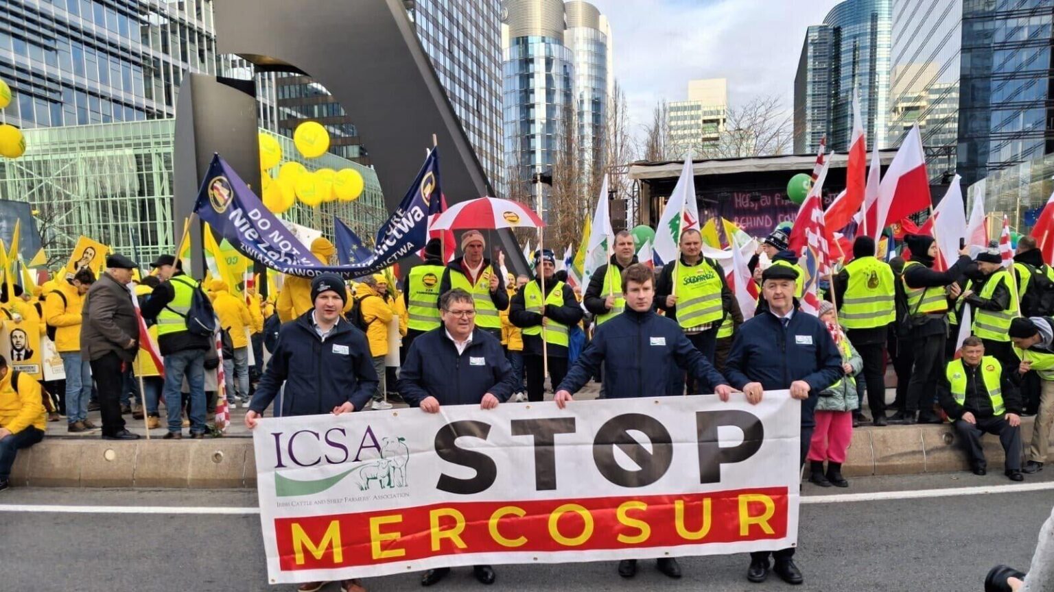 Brazilian beef with banned hormones entered Irish market