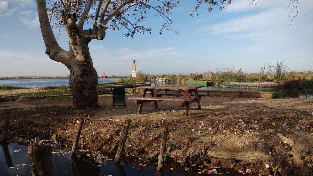 There is no winter in Valencia, only comfortable days