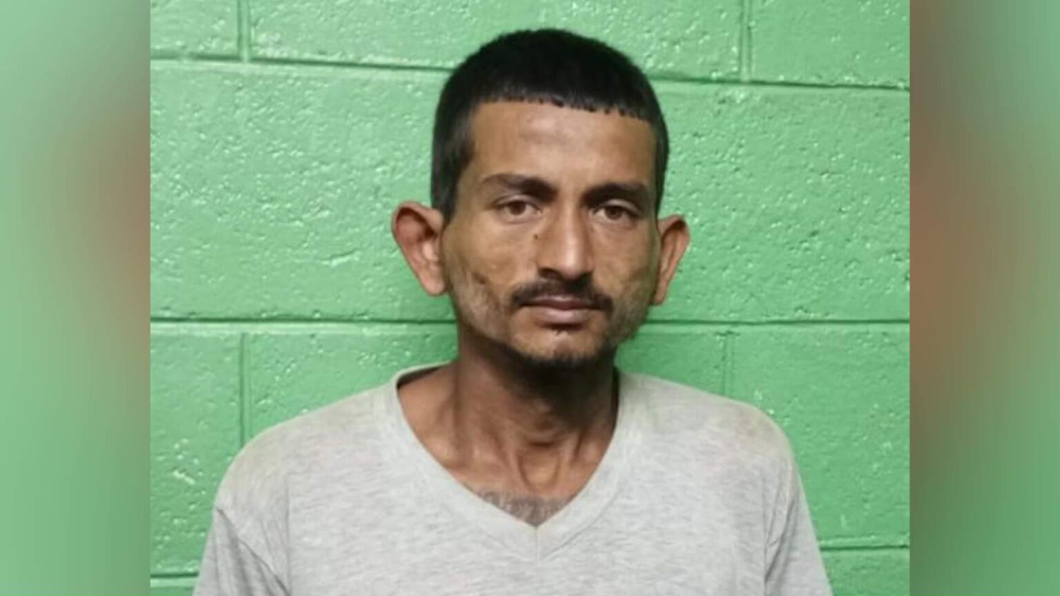 Quick-Thinking Homeowner Helps Nab Burglar in Armenia