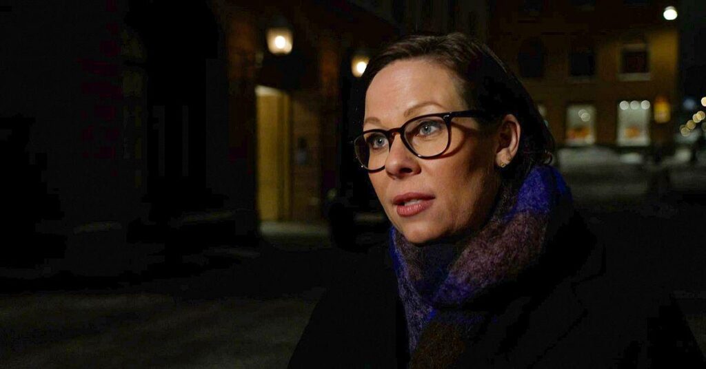 Malmer Stenergard: "Didn't hear the US's explanation"