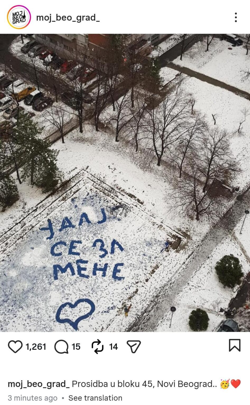 A little romance - a proposal at NBG