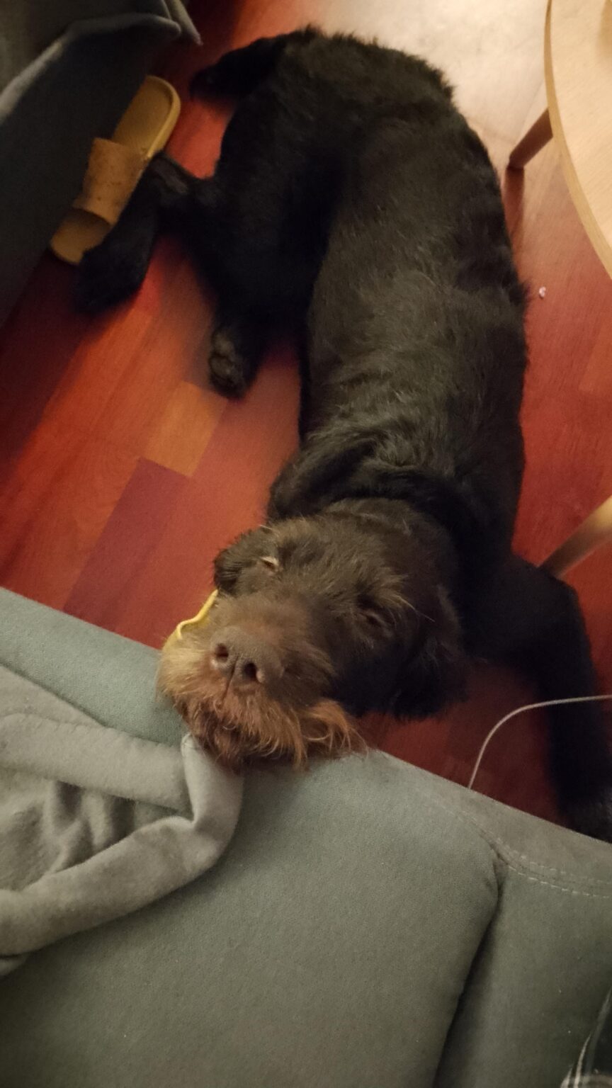 Are you sleeping yet?