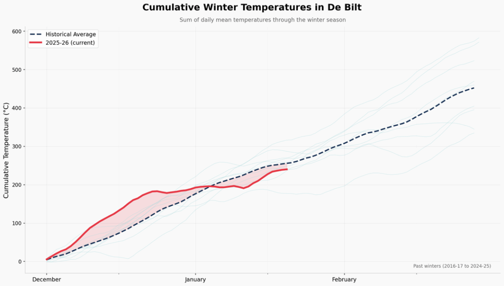 Is it cold in the Netherlands?