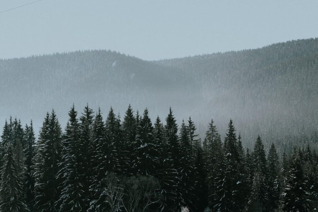 Somewhere around Velingradsko