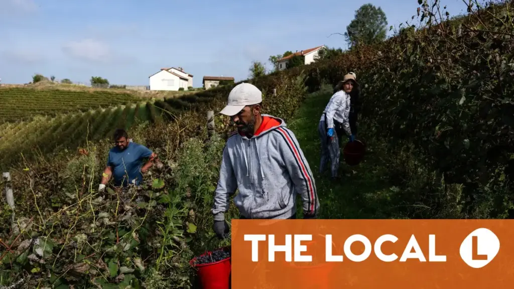 The planned changes to immigration and citizenship in Italy in 2026 The planned changes to immigration and citizenship in Italy in 2026