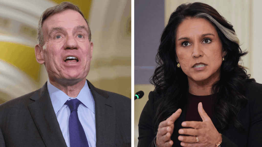 Warner: ‘Why is Tulsi Gabbard at an FBI raid on an election office in Fulton County?’