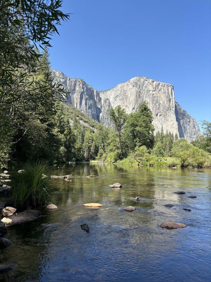 Yosemite National Park😍