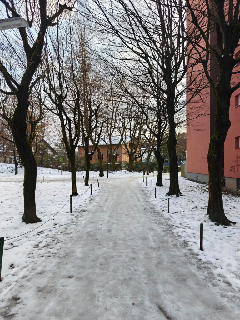 Public thanks to the Municipality of Ljubljana for perfectly cleaned sidewalks
