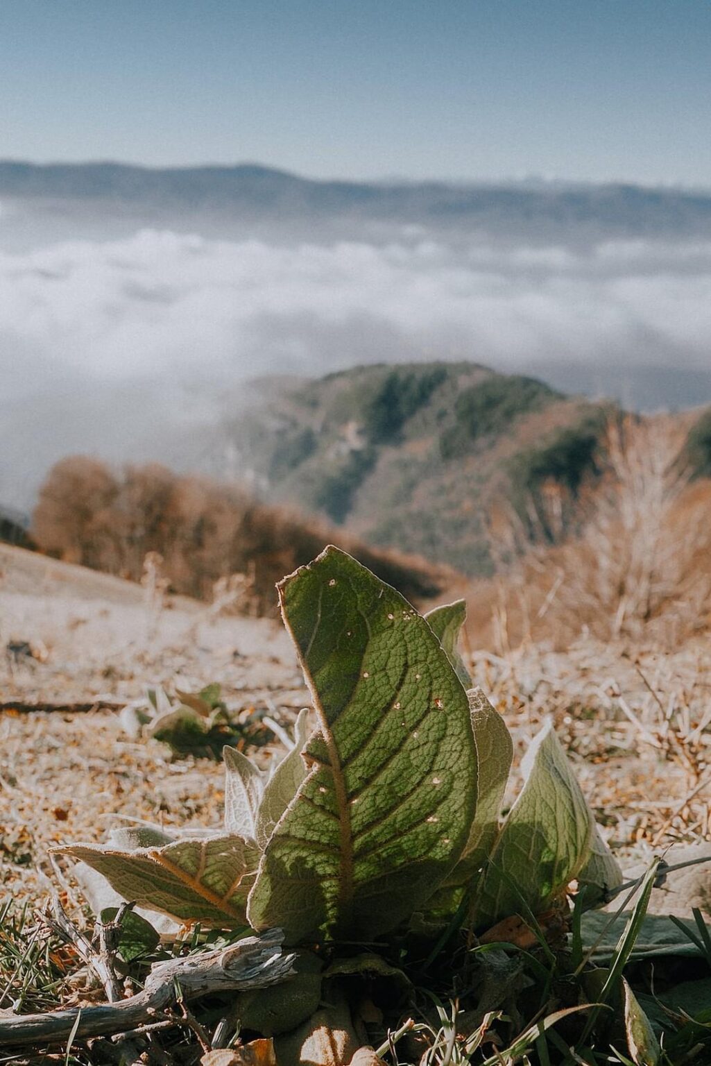 Today some photos from Beklemeto.