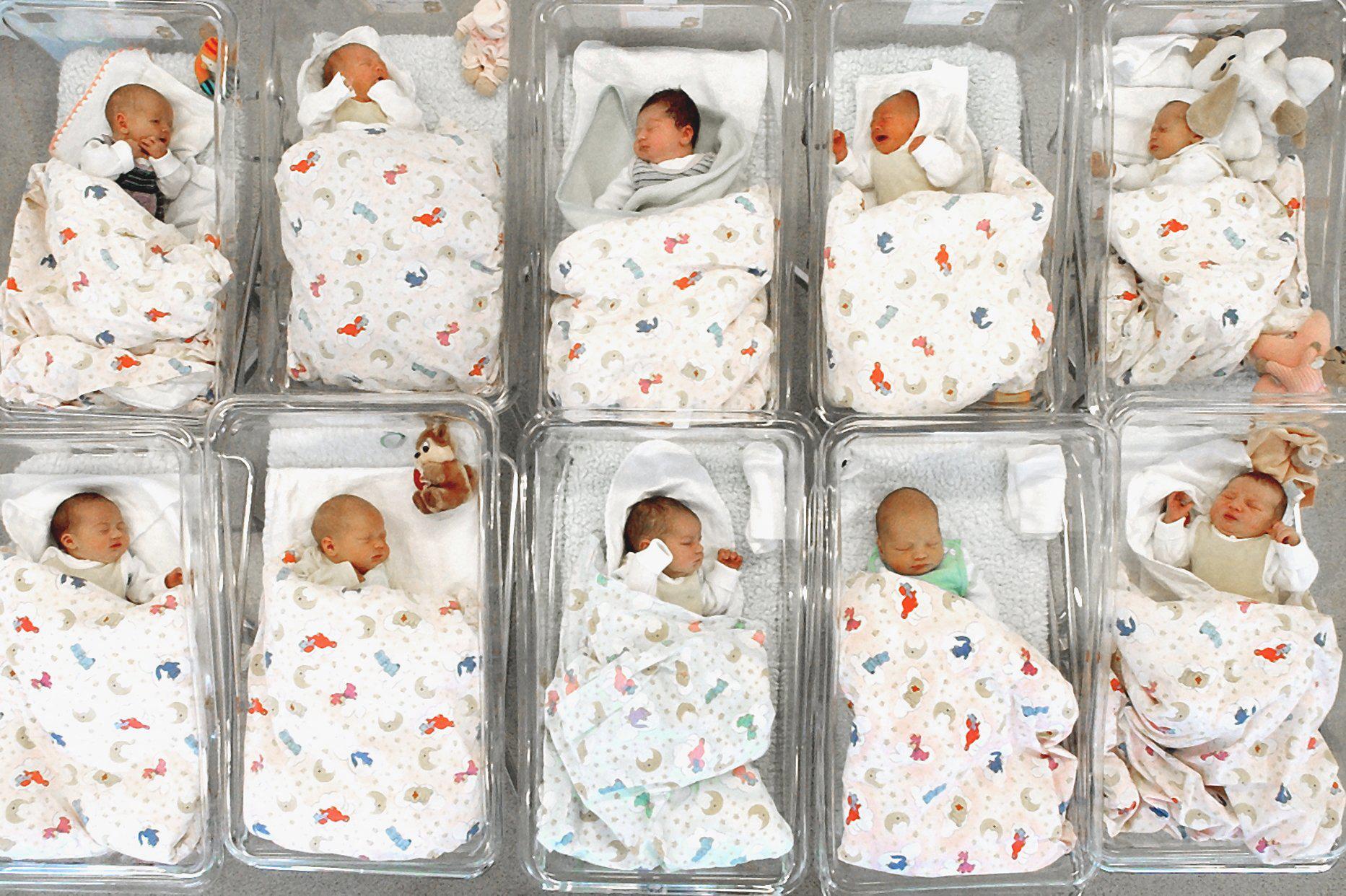 Newborn babies in clear cribs in a hospital maternity ward.