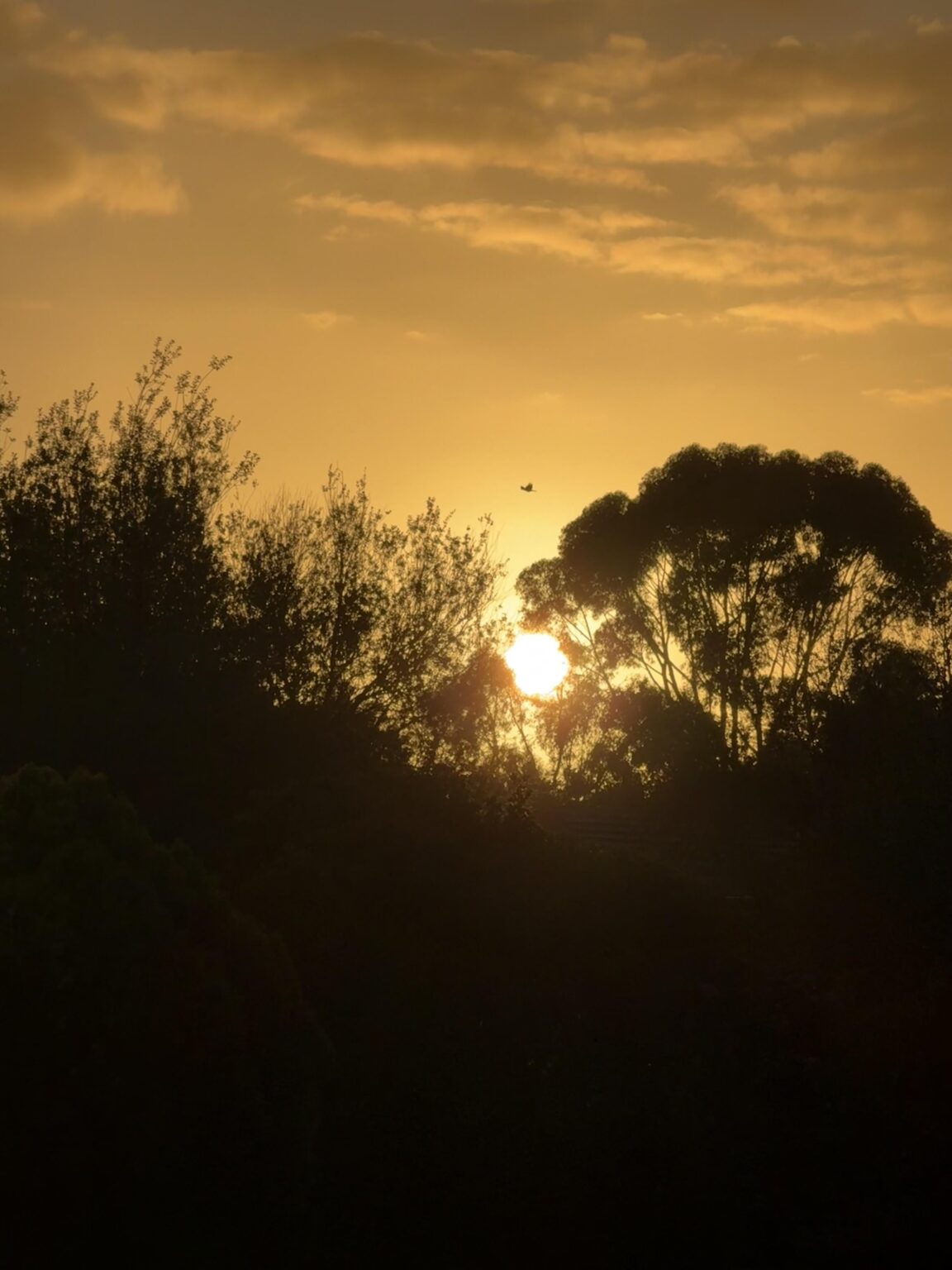 Sunrise this morning.