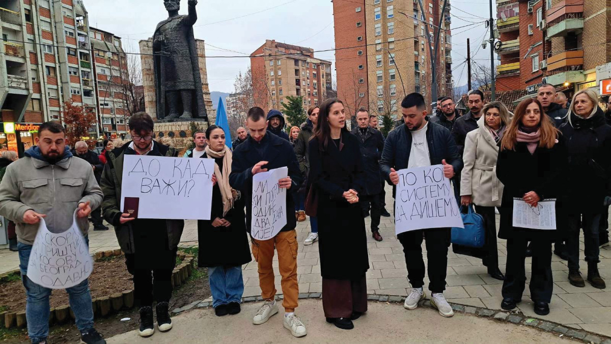 NIN / Zorica Vorgučić