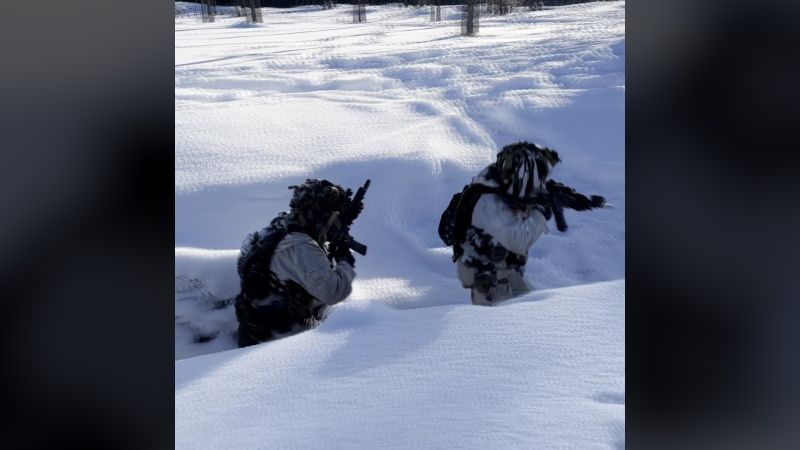 Exercise Winter Camp tests Nato battlegroup in Estonia Exercise Winter Camp tests Nato battlegroup in Estonia