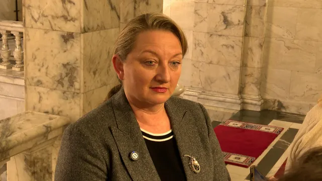 Bulgaria raises the question of violence against the Bulgarian community in North Macedonia at the Council of Europe