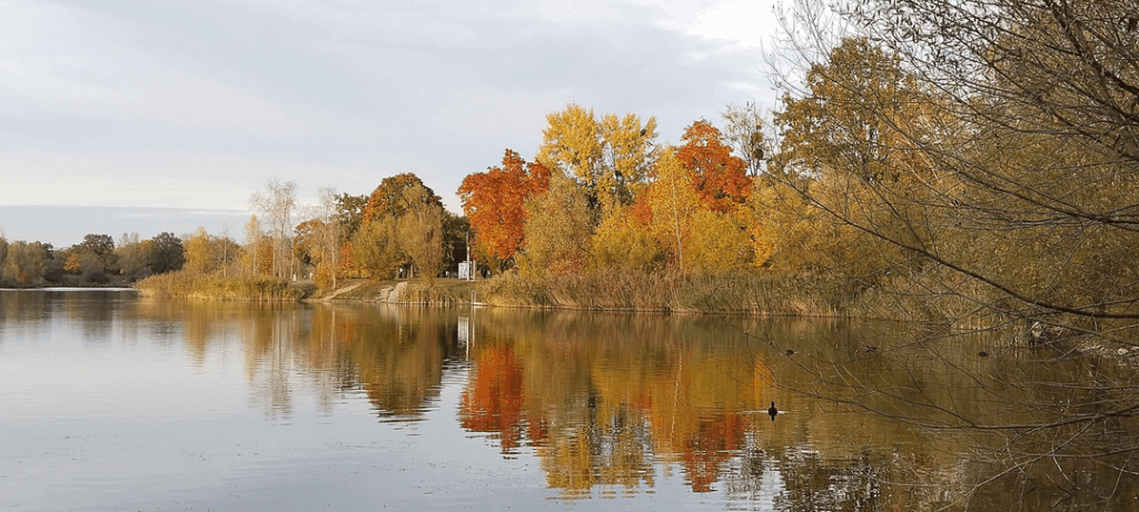 Autumn reflections in an Austrian lake