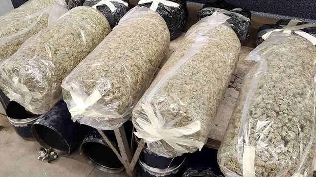 Serbian Drug Network Deeply Infiltrated North Macedonia’s Legal Cannabis Industry