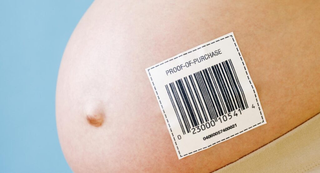 New Zealand man allowed to adopt son born via surrogate despite fraud