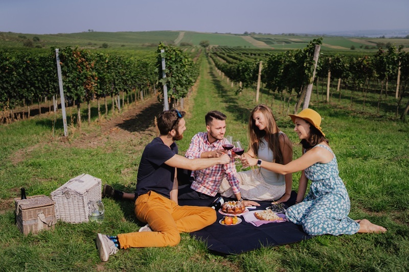 Estonia’s Wine Industry Thrives with Unique Wines and Unmatched Experiences for 2026 Travelers Estonia’s Wine Industry Thrives with Unique Wines and Unmatched Experiences for 2026 Travelers