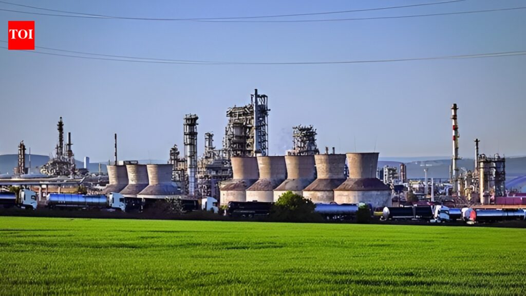 Nayara's future unsure: India may bargain with US for Russian crude | India News