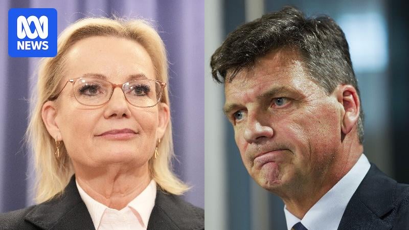 Sussan Ley handed spill motion